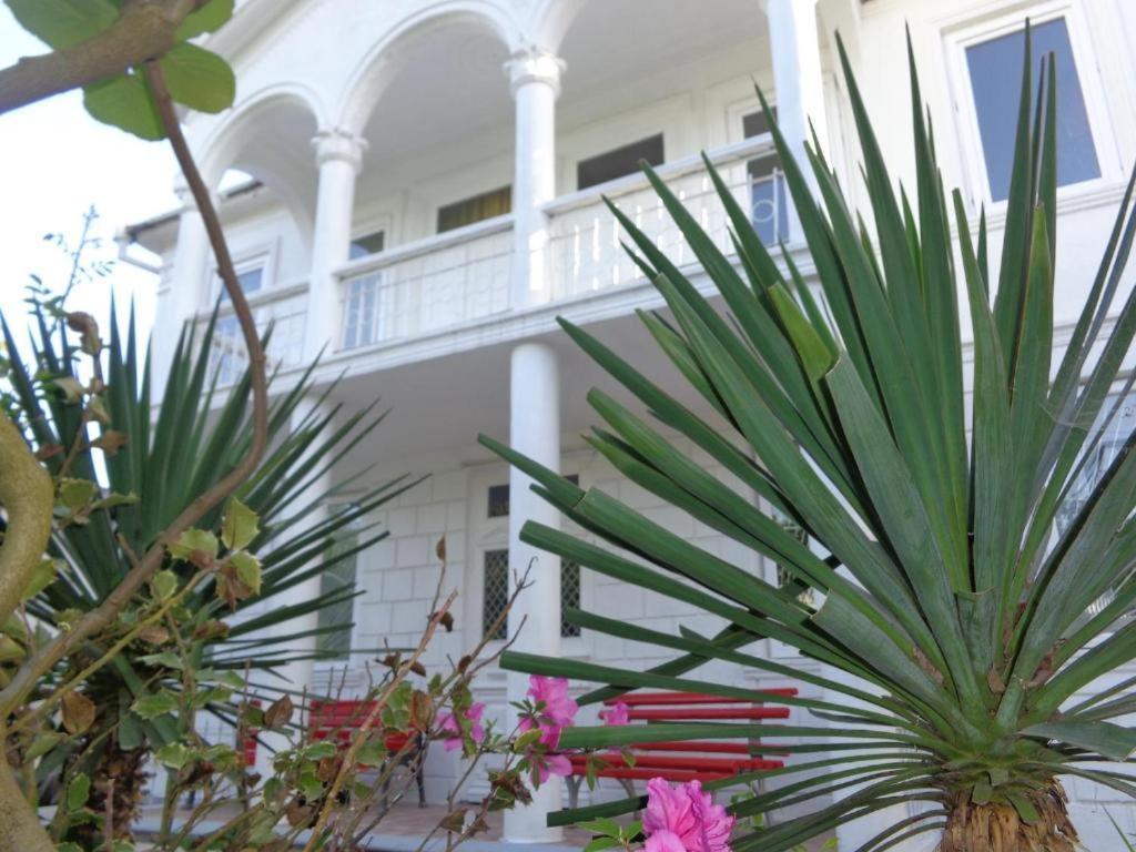 White Guest House Μπατούμι Εξωτερικό φωτογραφία