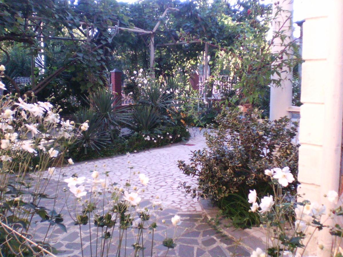 White Guest House Μπατούμι Εξωτερικό φωτογραφία